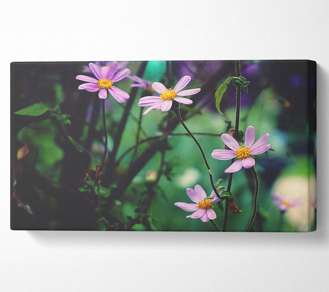  A Canvas Print of Lavender Wildflowers Bloom Canvas Wall Art