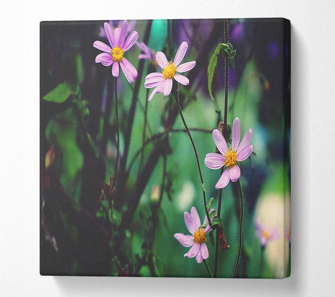 A Canvas Print of Lavender Wildflowers Bloom Canvas Wall Art