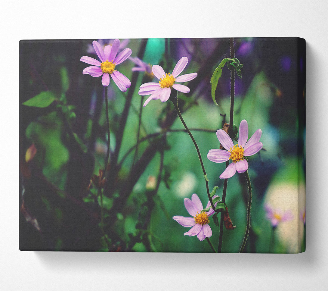  A Canvas Print of Lavender Wildflowers Bloom Canvas Wall Art