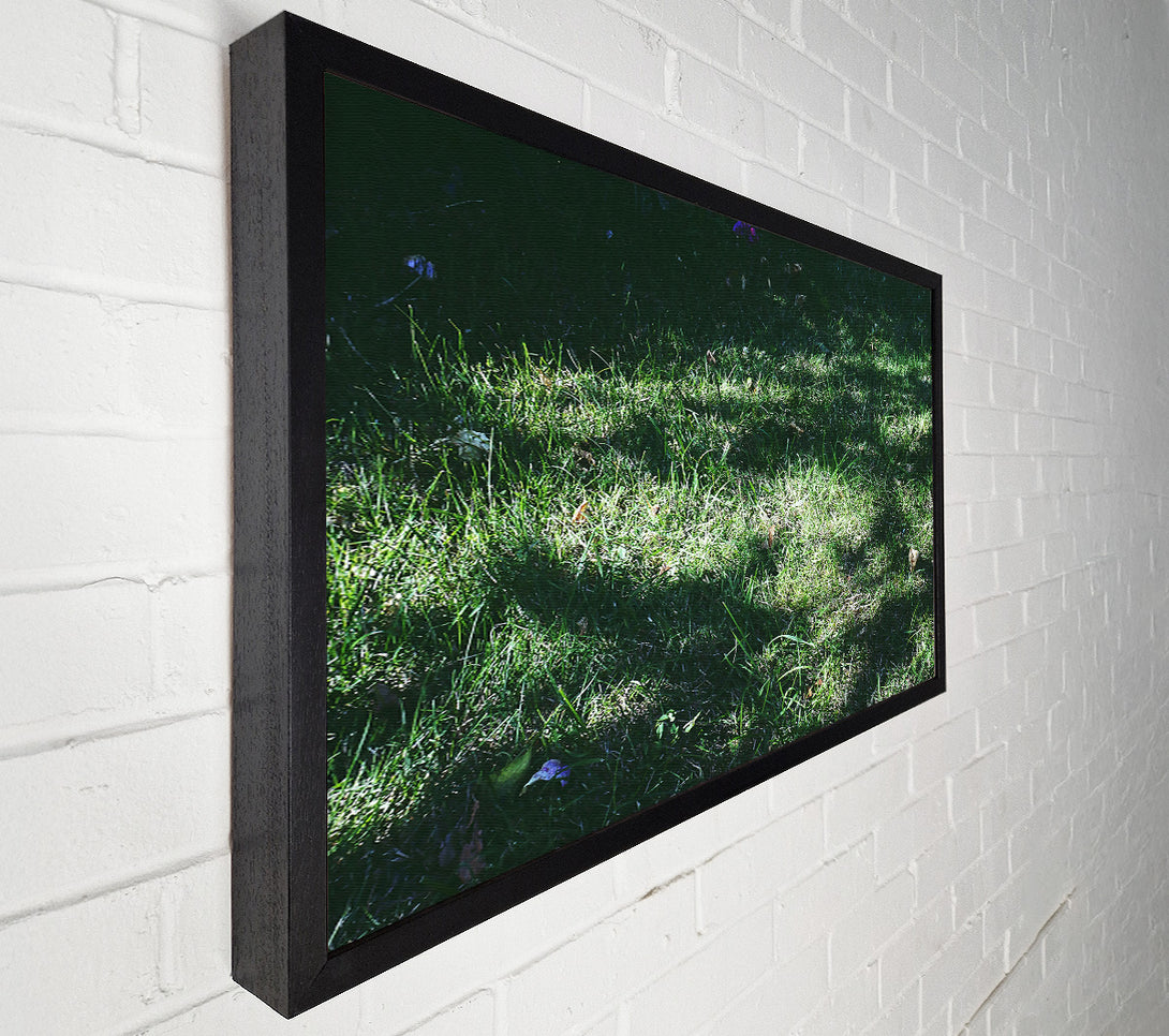  A Canvas Print of Emerald Grass Hues Canvas Print