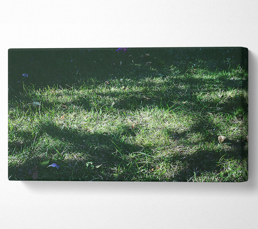  A Canvas Print of Emerald Grass Hues Canvas Print