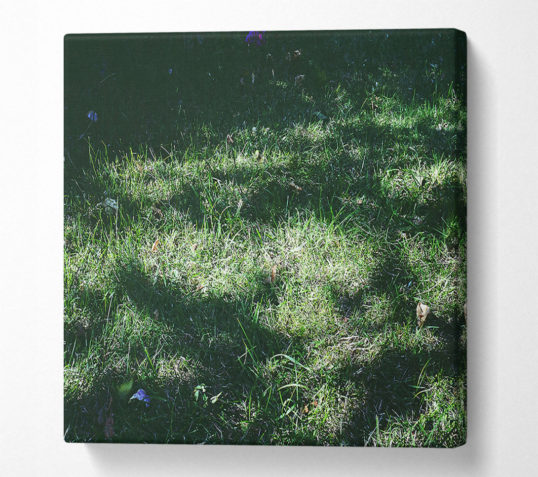  A Canvas Print of Emerald Grass Hues Canvas Print
