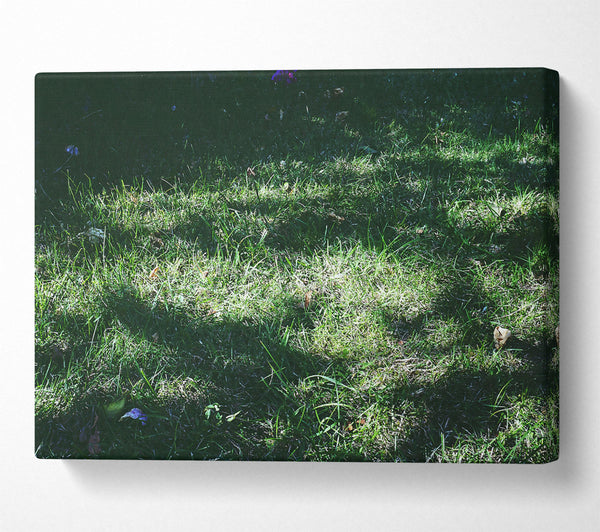  A Canvas Print of Emerald Grass Hues Canvas Print