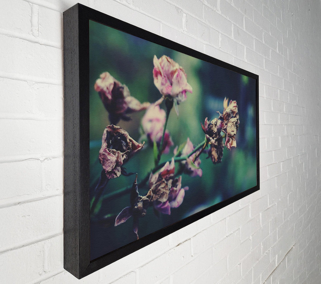  A Canvas Print of Faded Pink Roses Canvas Wall Art