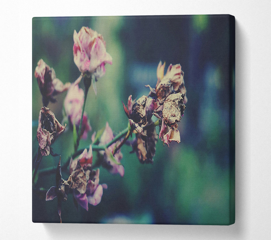  A Canvas Print of Faded Pink Roses Canvas Wall Art