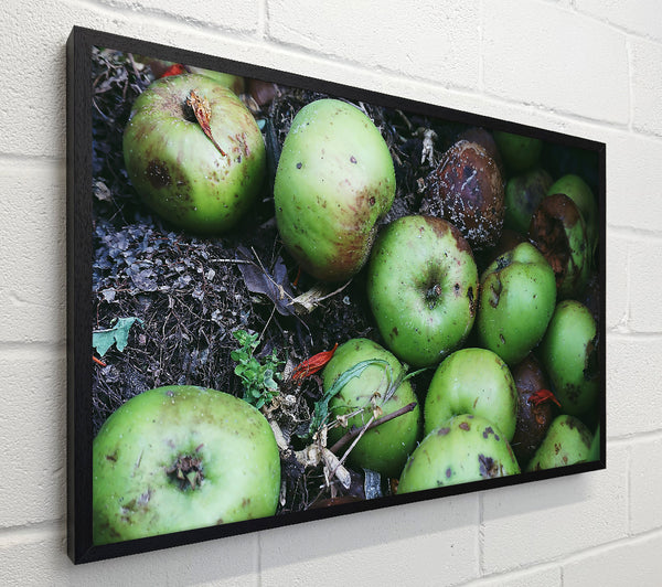Green Apple Decay