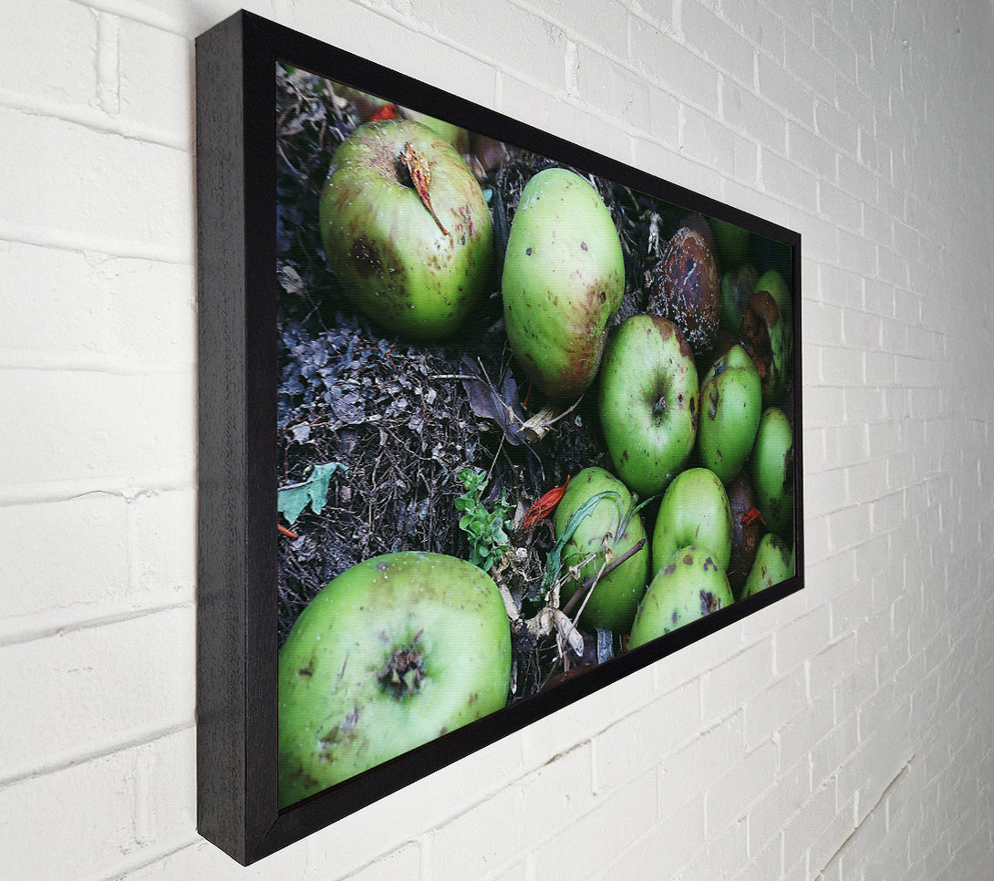  A Canvas Print of Green Apple Decay Canvas Art