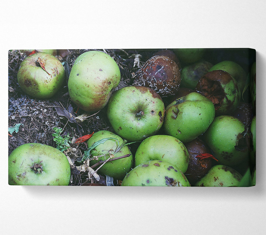  A Canvas Print of Green Apple Decay Canvas Art