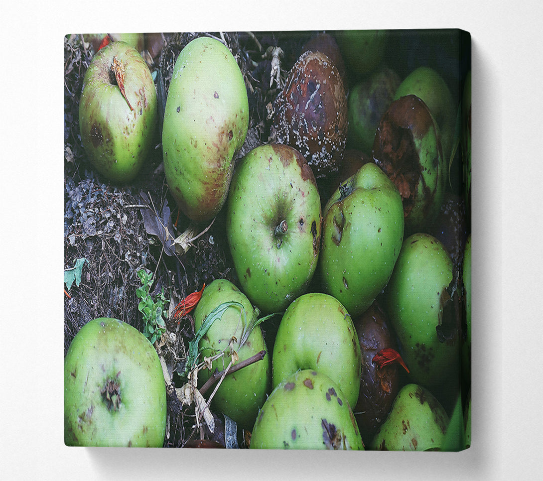  A Canvas Print of Green Apple Decay Canvas Art