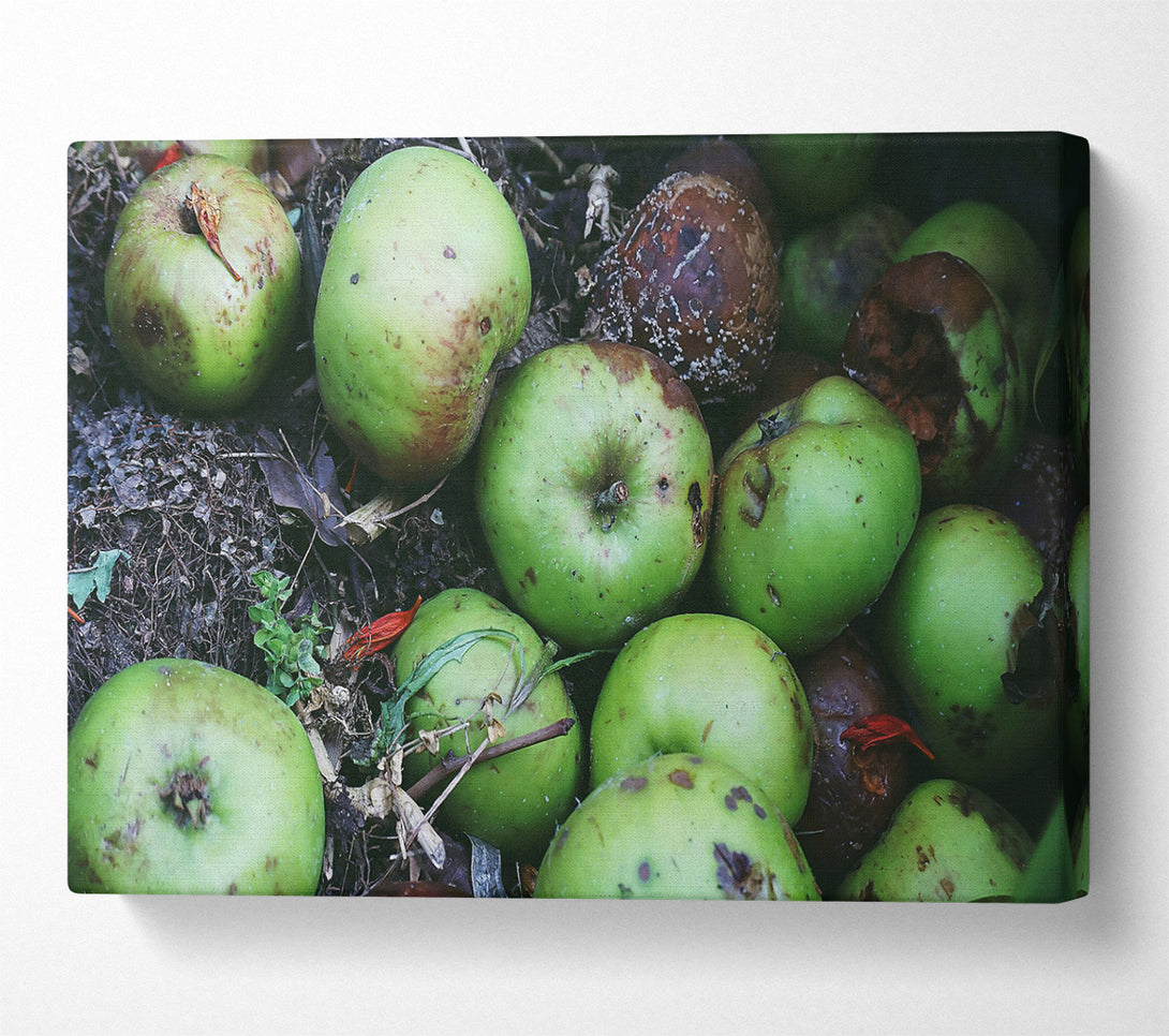  A Canvas Print of Green Apple Decay Canvas Art