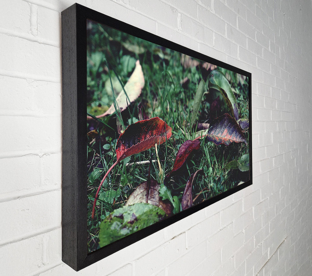  A Canvas Print of Crimson Fallen Leaves Canvas Wall Art
