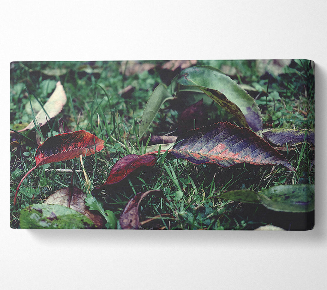  A Canvas Print of Crimson Fallen Leaves Canvas Wall Art