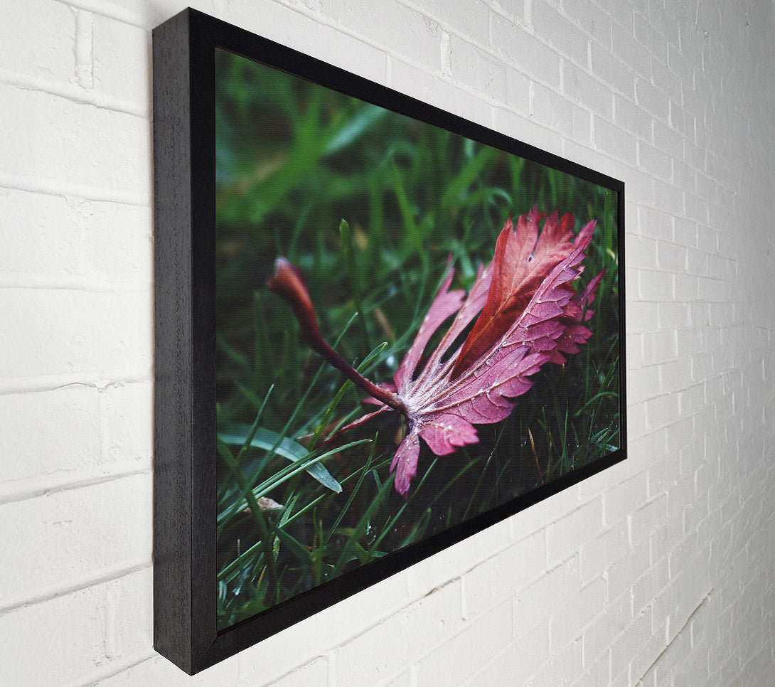  A Canvas Print of Crimson Leaf In Green Canvas Print