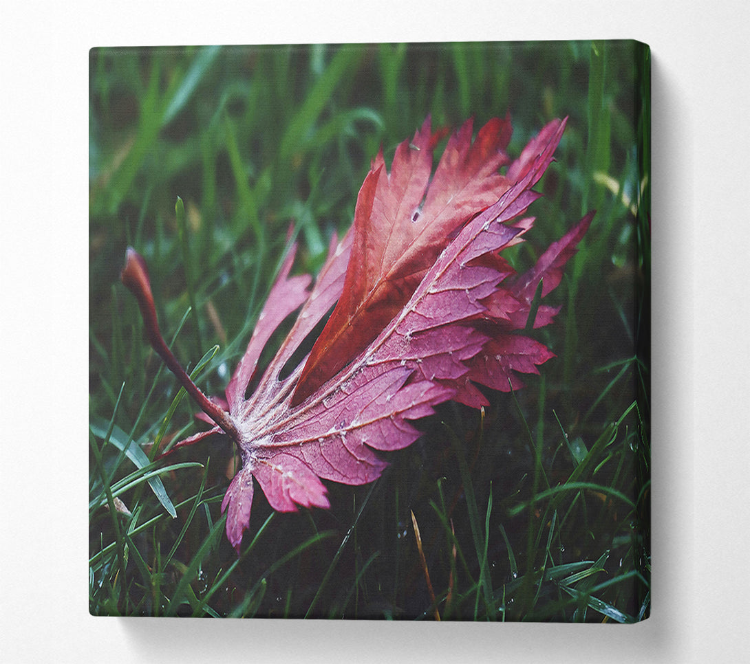  A Canvas Print of Crimson Leaf In Green Canvas Print