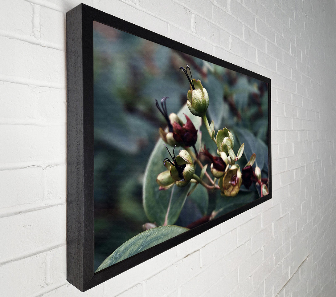  A Canvas Print of Green Budded Branch Canvas Wall Art