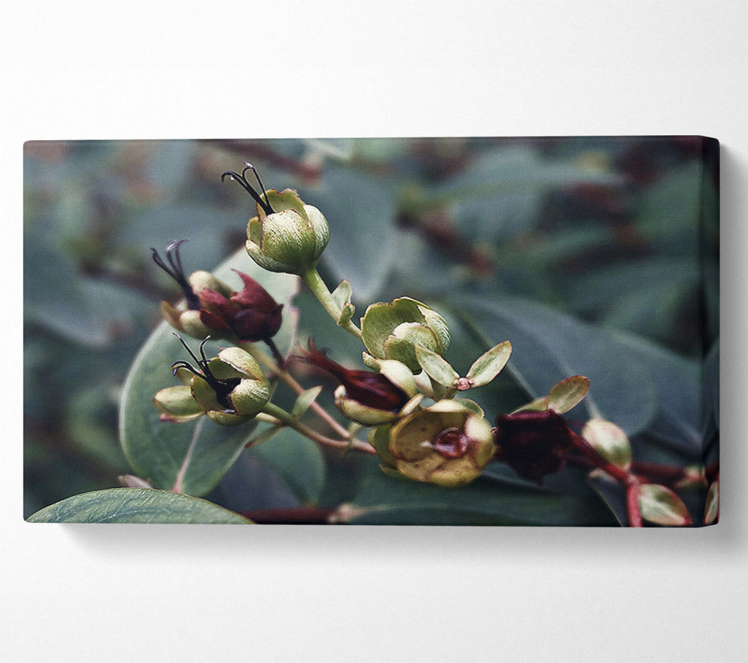  A Canvas Print of Green Budded Branch Canvas Wall Art