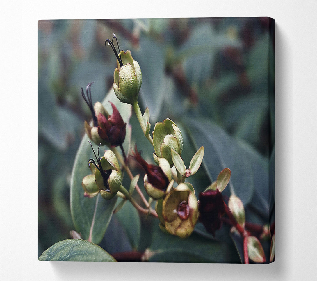  A Canvas Print of Green Budded Branch Canvas Wall Art