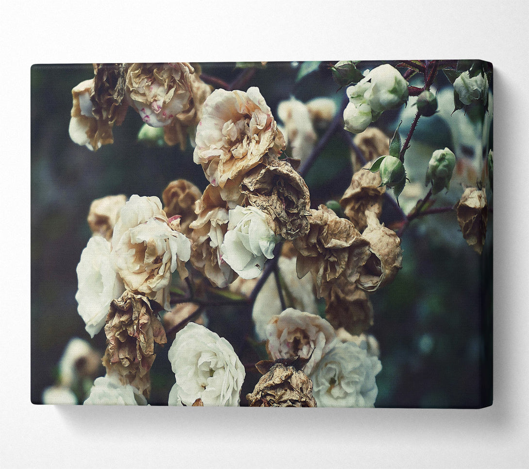  A Canvas Print of Loading... Canvas Print