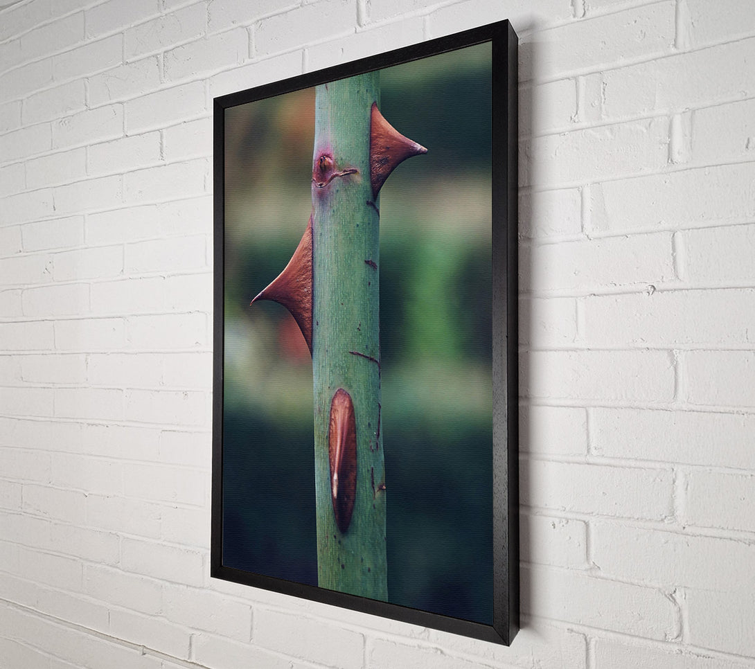  A Canvas Print of Green Thorns Of Defense Canvas Wall Art