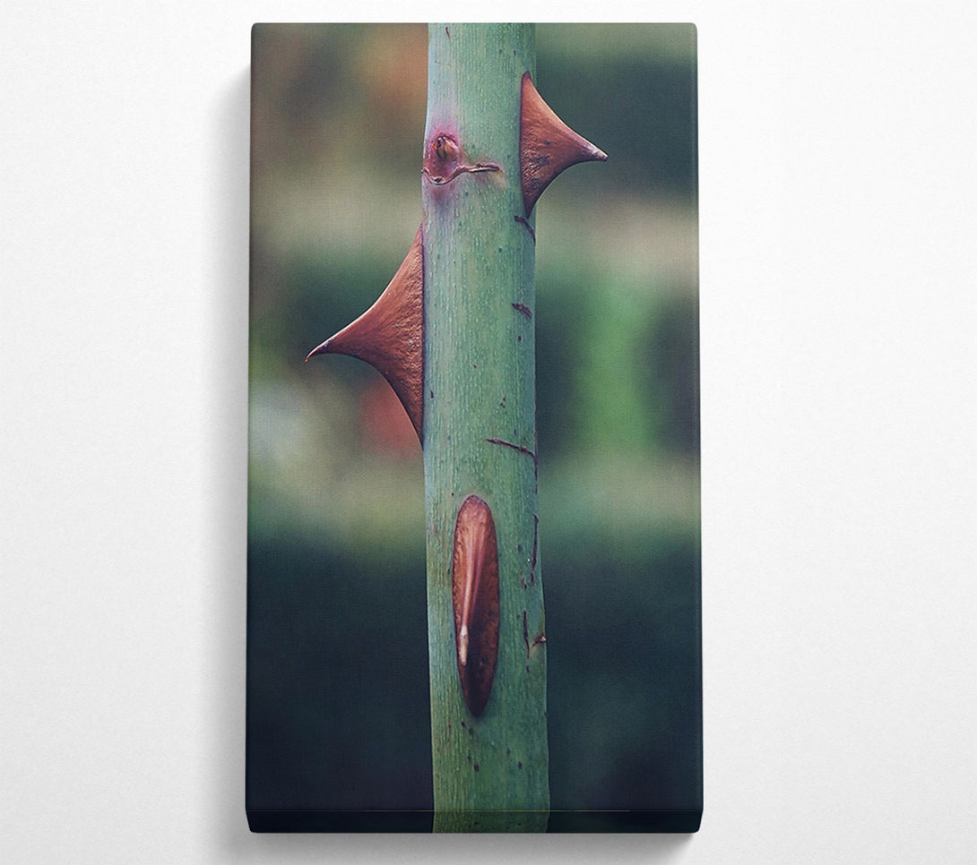  A Canvas Print of Green Thorns Of Defense Canvas Wall Art