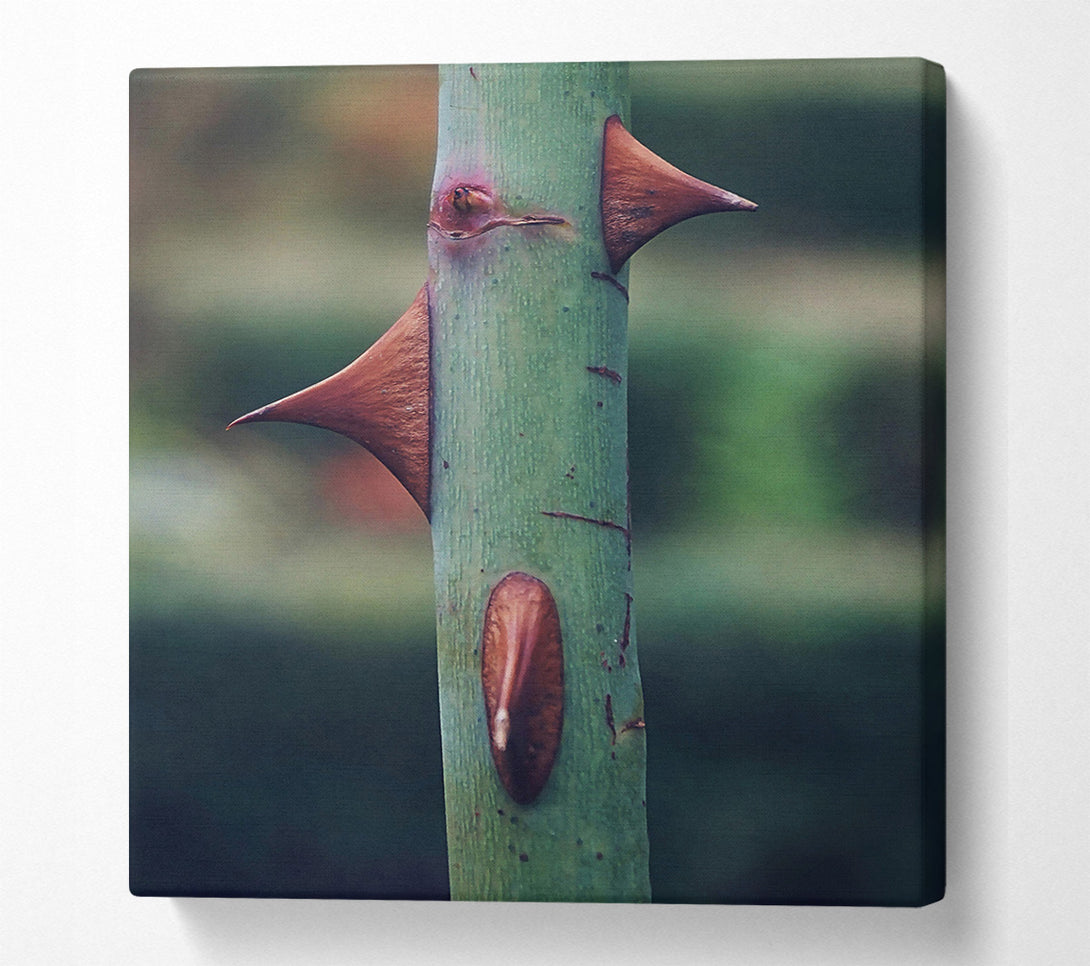  A Canvas Print of Green Thorns Of Defense Canvas Wall Art