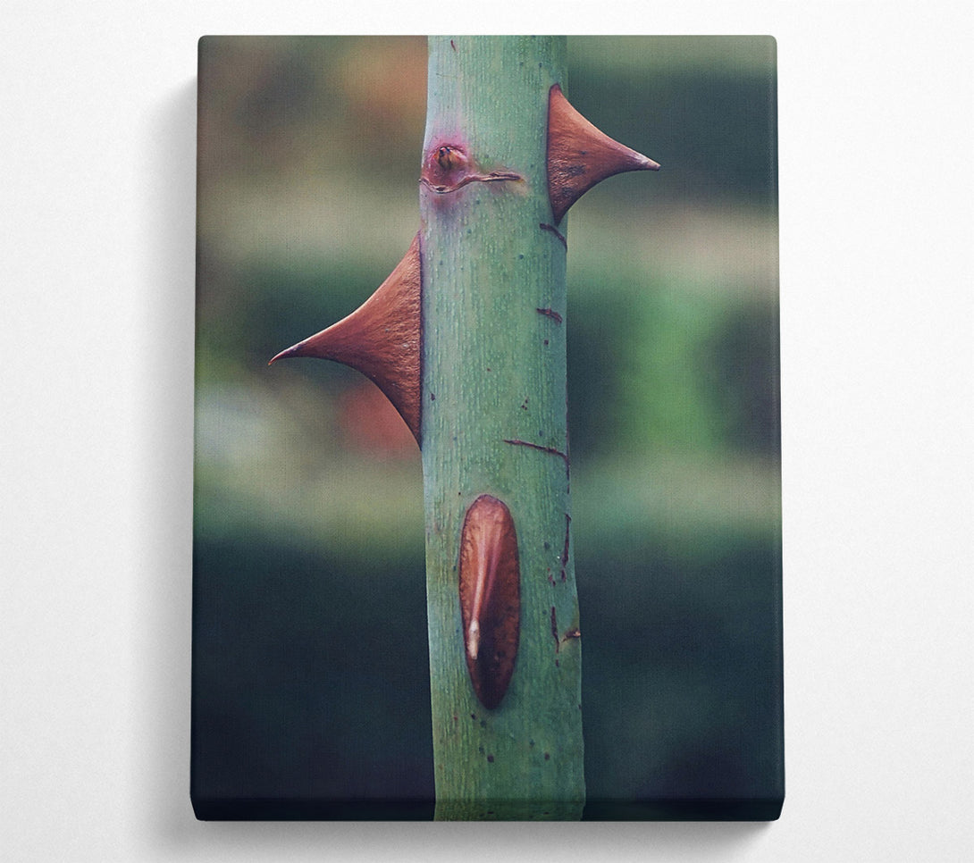  A Canvas Print of Green Thorns Of Defense Canvas Wall Art