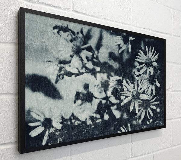 Indigo Bloom Shadows