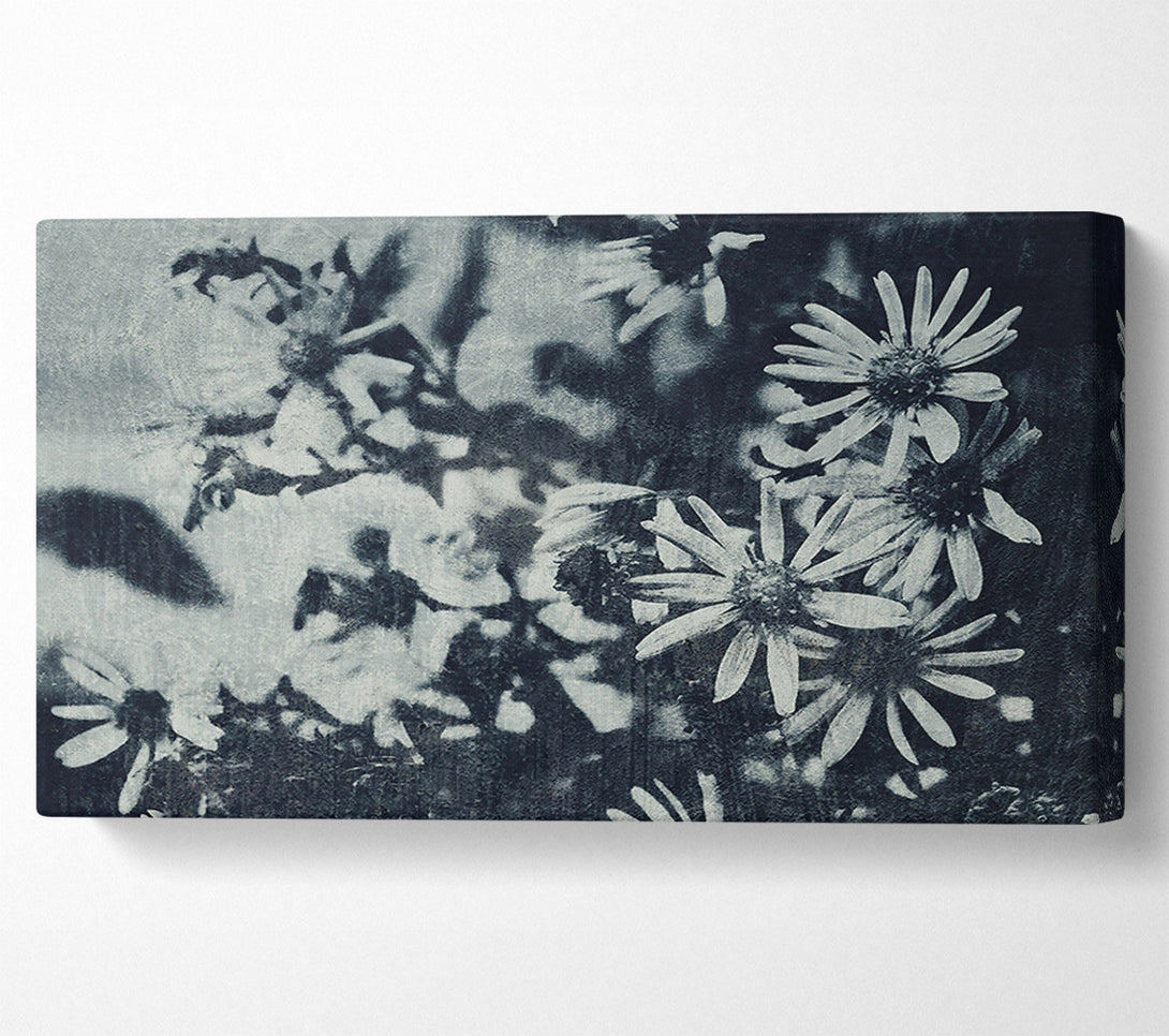 A Canvas Print of Indigo Bloom Shadows Canvas Art