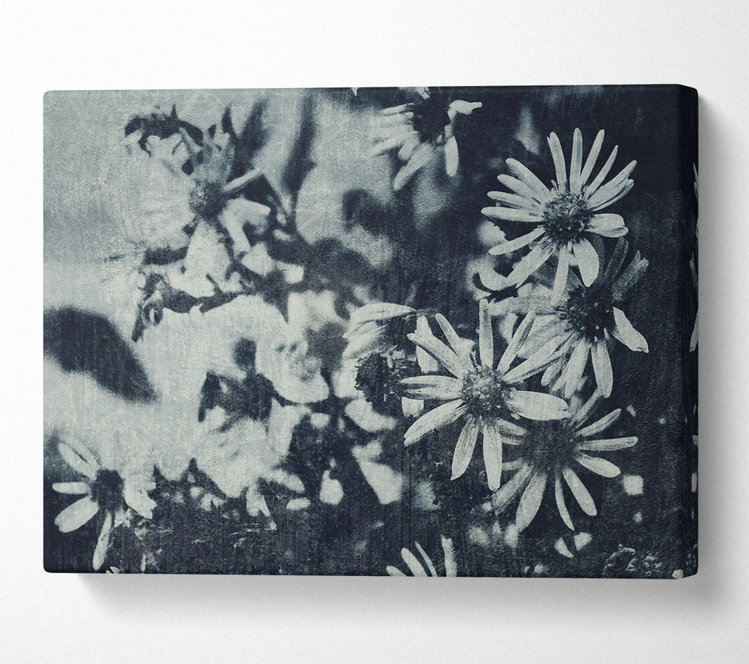  A Canvas Print of Indigo Bloom Shadows Canvas Art
