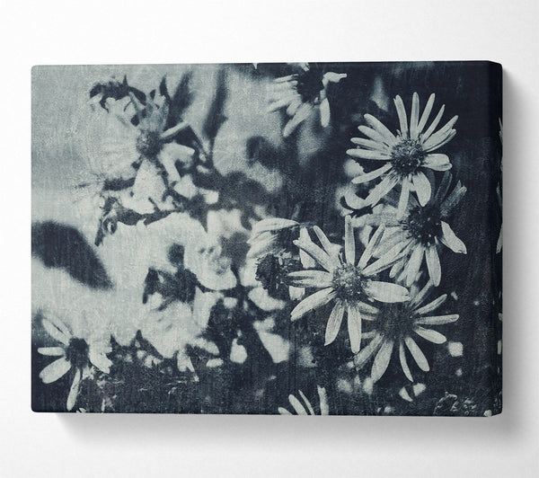  A Canvas Print of Indigo Bloom Shadows Canvas Art