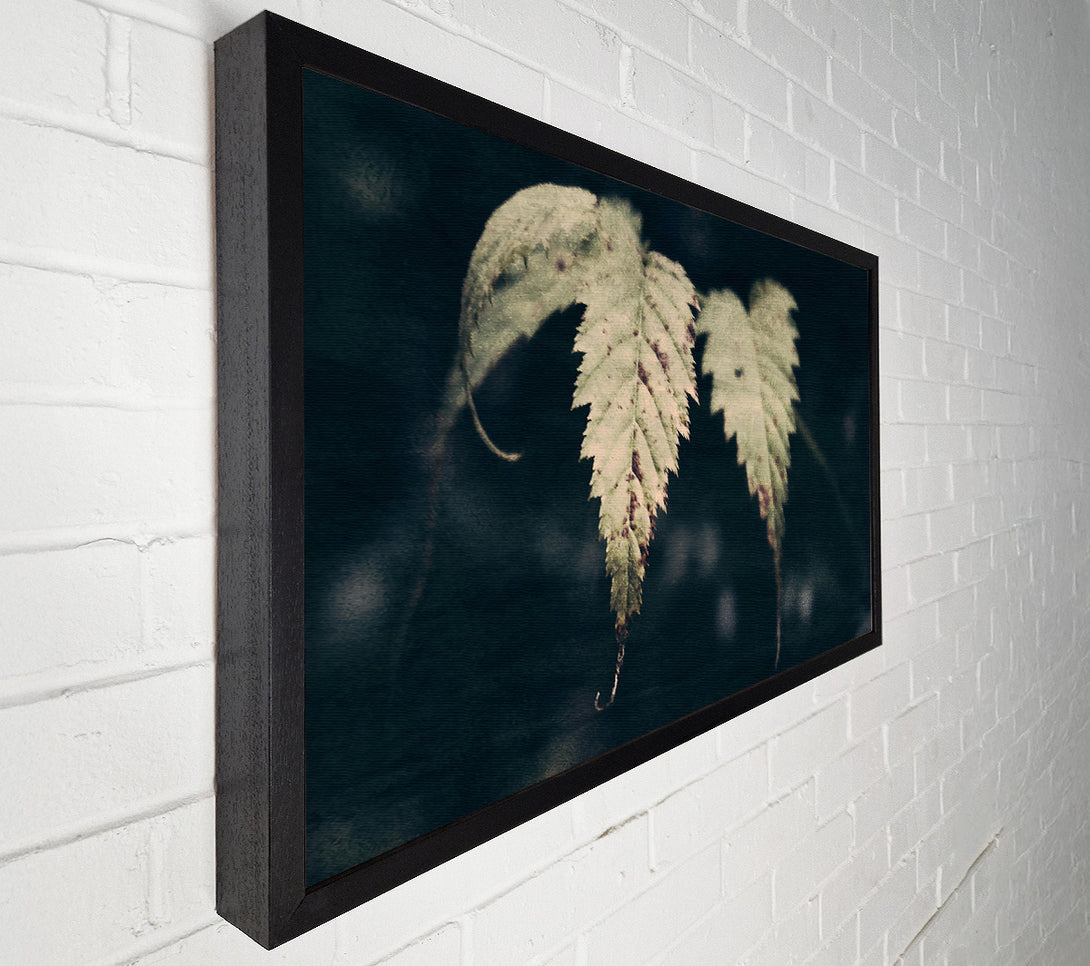  A Canvas Print of Olive Green Leaves Canvas Wall Art