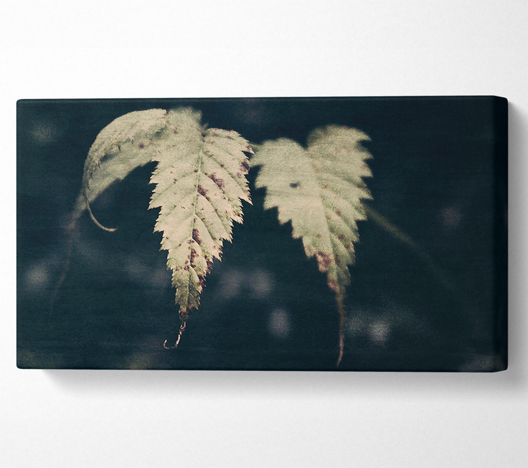  A Canvas Print of Olive Green Leaves Canvas Wall Art