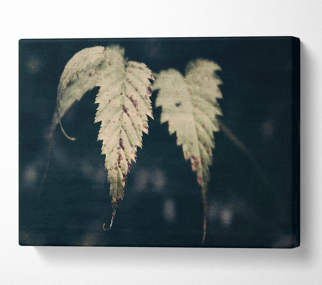 A Canvas Print of Olive Green Leaves Canvas Wall Art