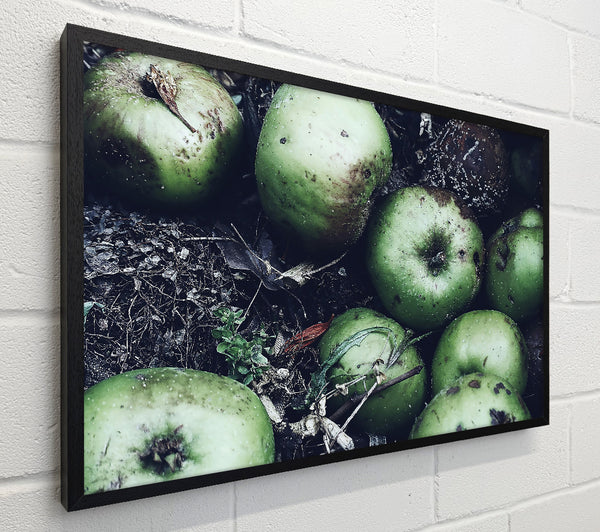 Green Apples And Decay