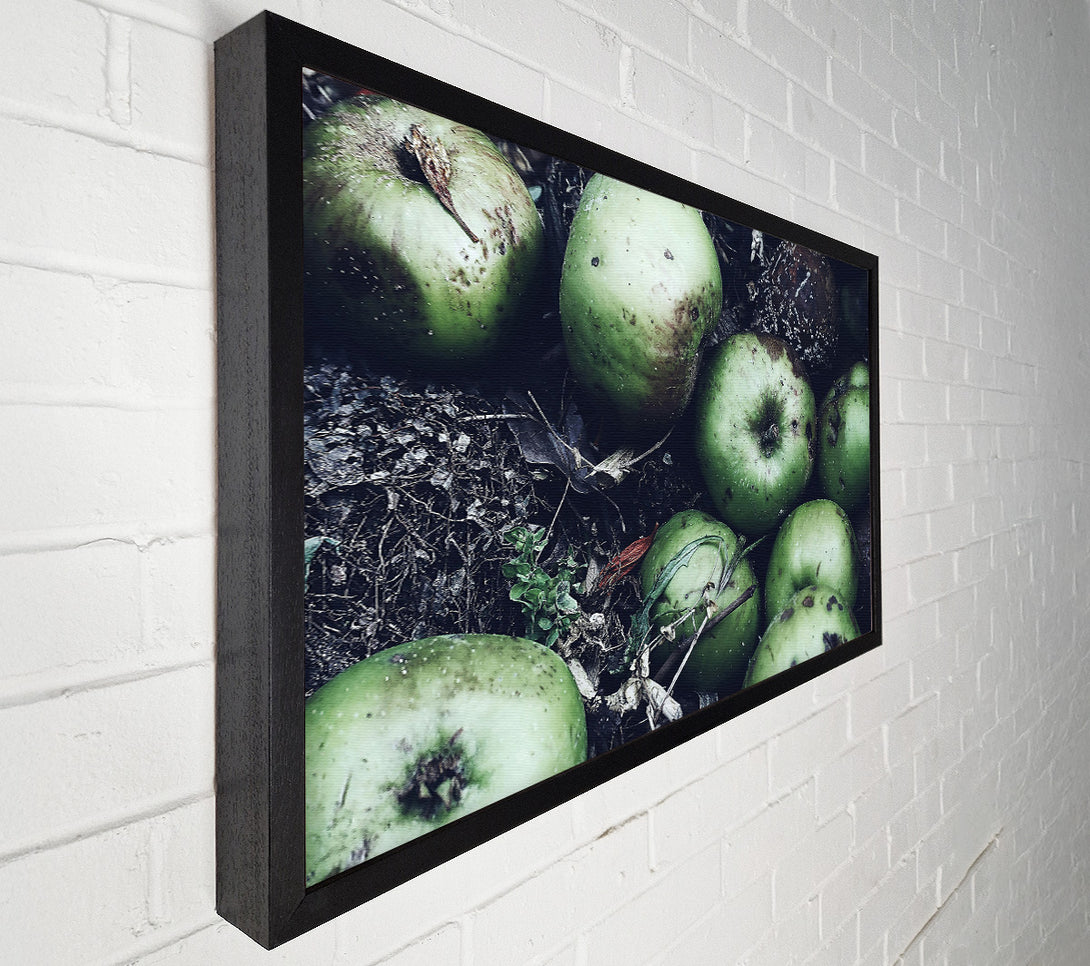  A Canvas Print of Green Apples And Decay Canvas Wall Art