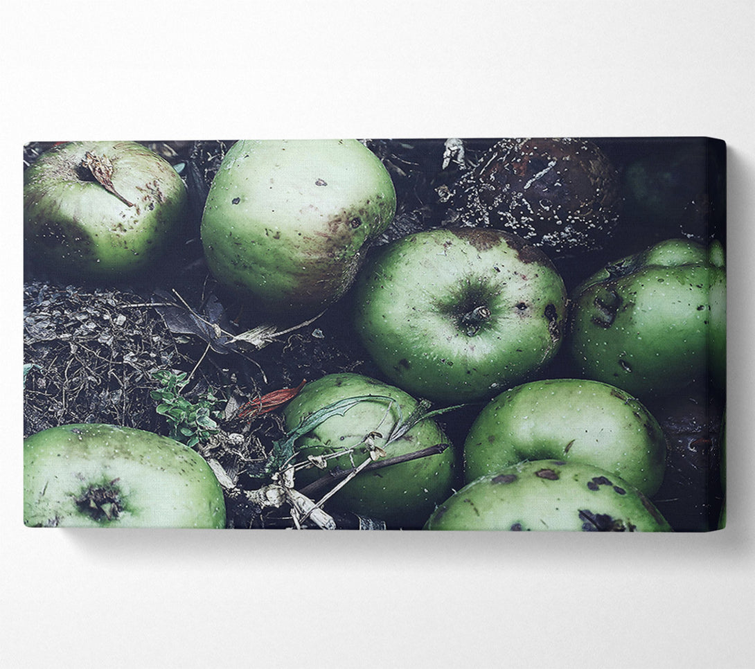  A Canvas Print of Green Apples And Decay Canvas Wall Art