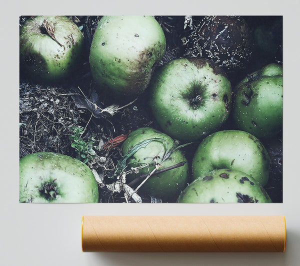 Green Apples And Decay