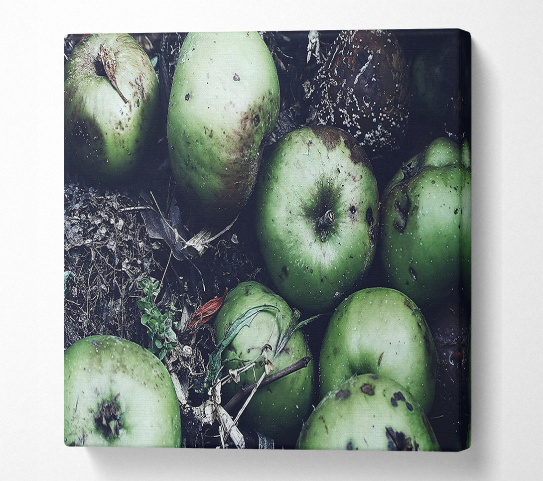  A Canvas Print of Green Apples And Decay Canvas Wall Art