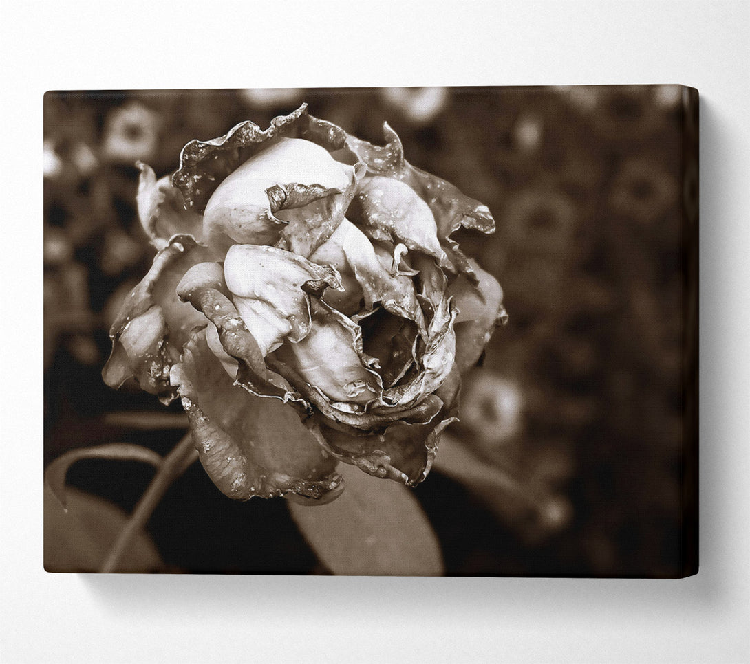  A Canvas Print of Loading... Canvas Print