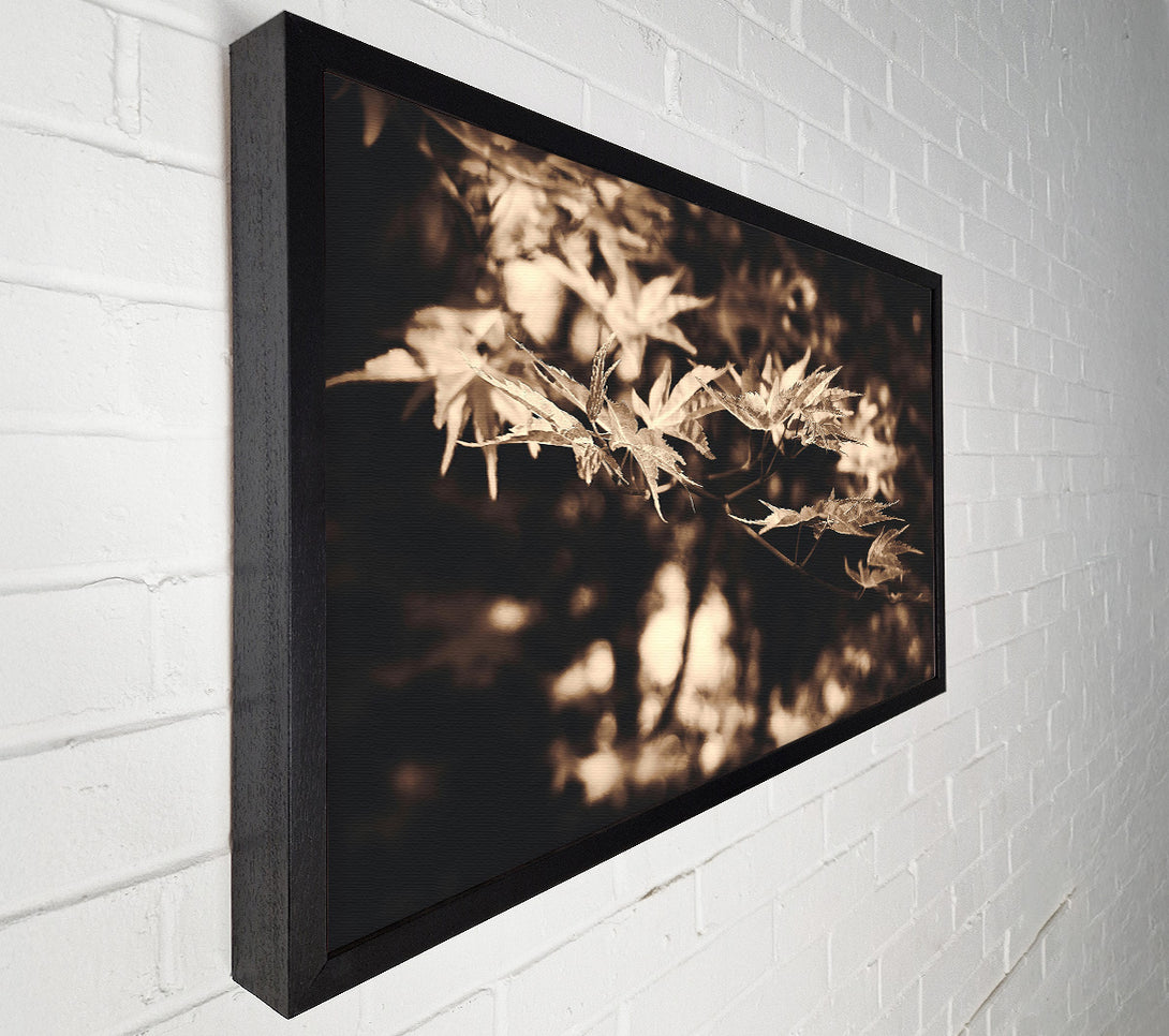  A Canvas Print of Golden Leaf Shadows Canvas Art