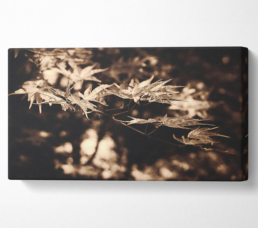  A Canvas Print of Golden Leaf Shadows Canvas Art