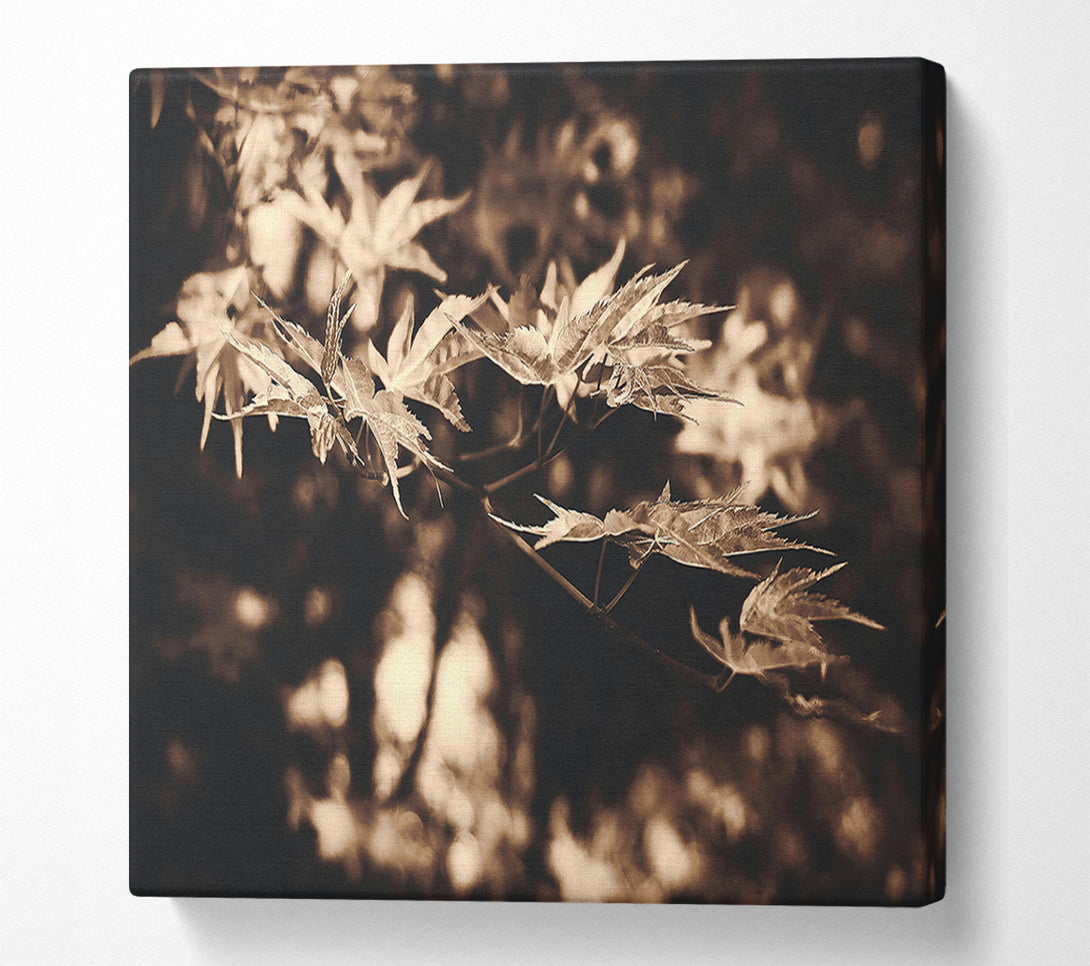  A Canvas Print of Golden Leaf Shadows Canvas Art