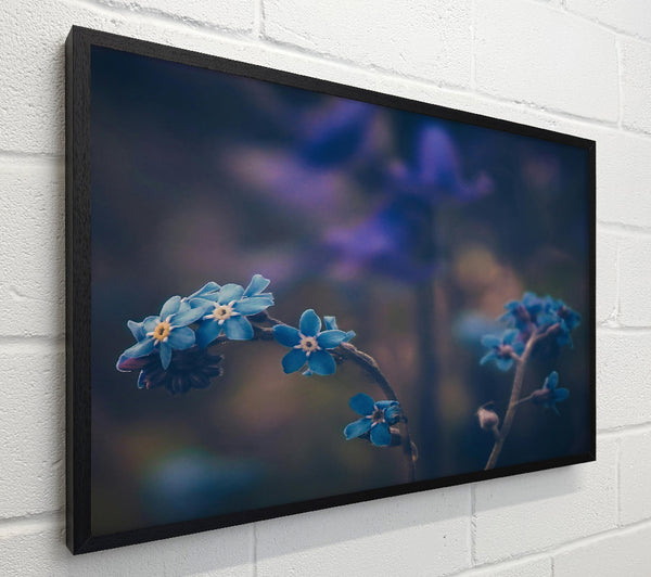 Blue Blooms In Bloom