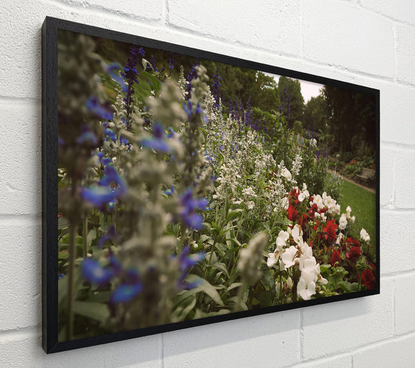 Blue Garden Bloom