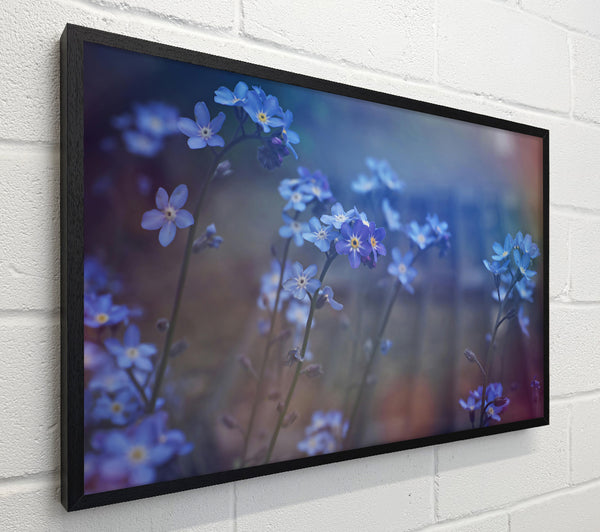 Blue Spring Blossoms