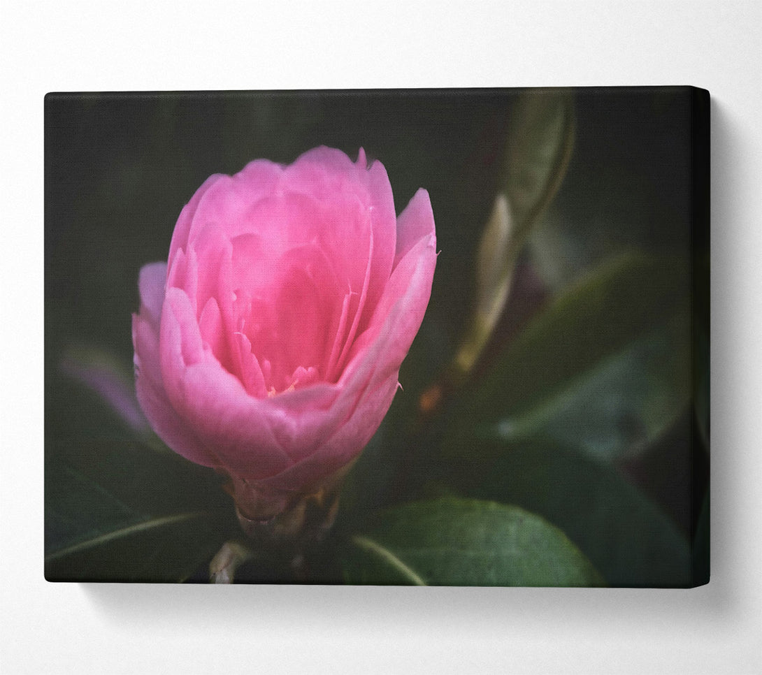  A Canvas Print of Loading... Canvas Print