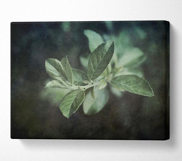  A Canvas Print of Emerald Branch Glow Canvas Wall Art