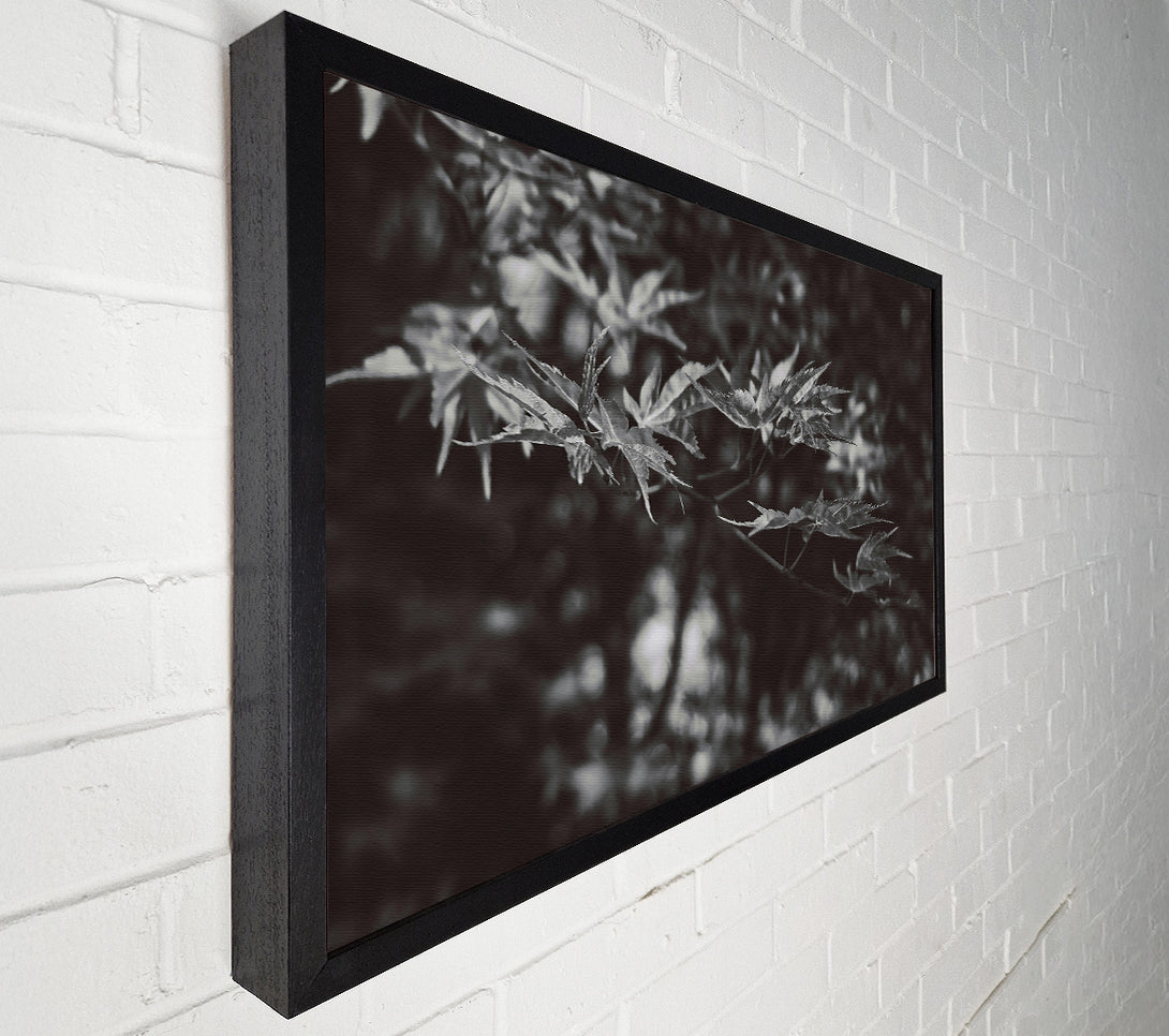  A Canvas Print of Dark Green Leaves Canvas Wall Art
