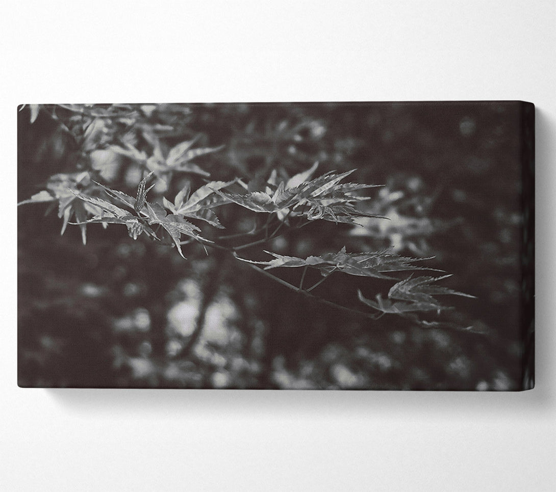  A Canvas Print of Dark Green Leaves Canvas Wall Art