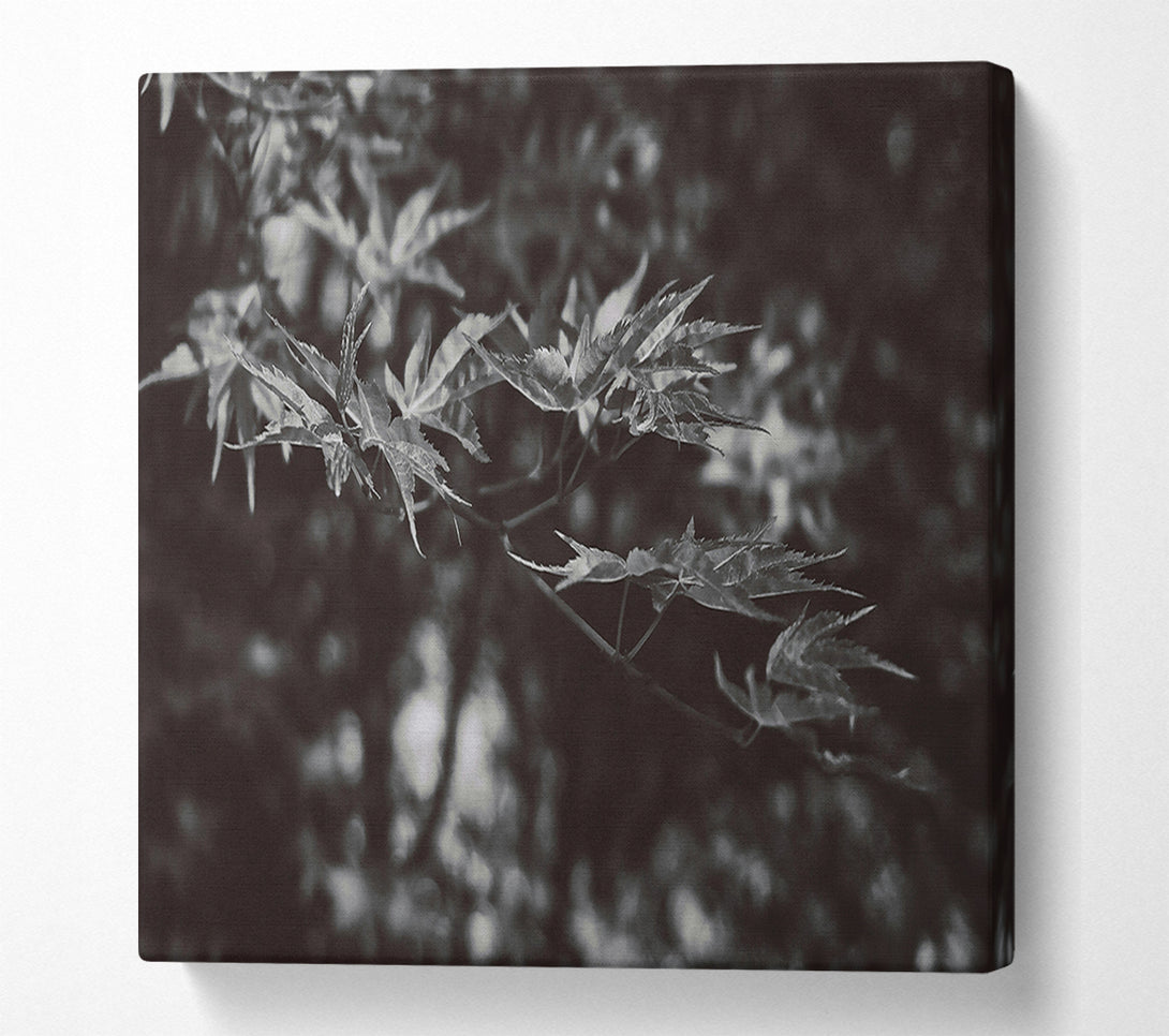  A Canvas Print of Dark Green Leaves Canvas Wall Art